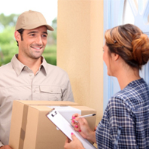 Domestic Courier