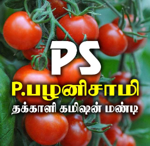 PS Tomato And Vegetables Wholesale