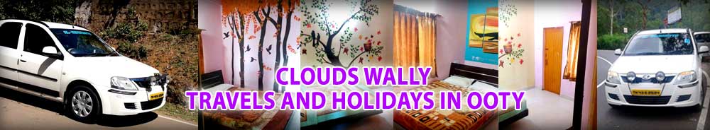 Clouds Wally Travels and Holidays Banner Image